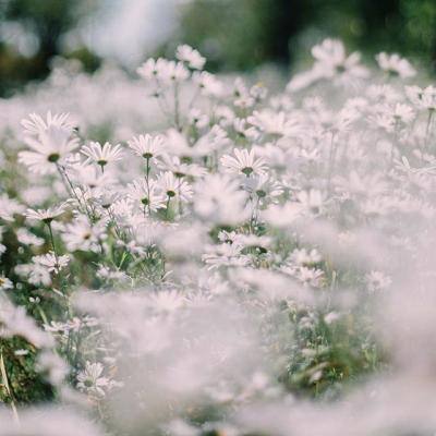 开元集团游戏网站app